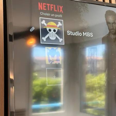 Mbs 1 - Cosy, Tram, Wifi, Parking, Equipe