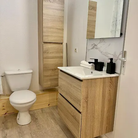 Mbs 1 - Cosy, Tram, Wifi, Parking, Equipe